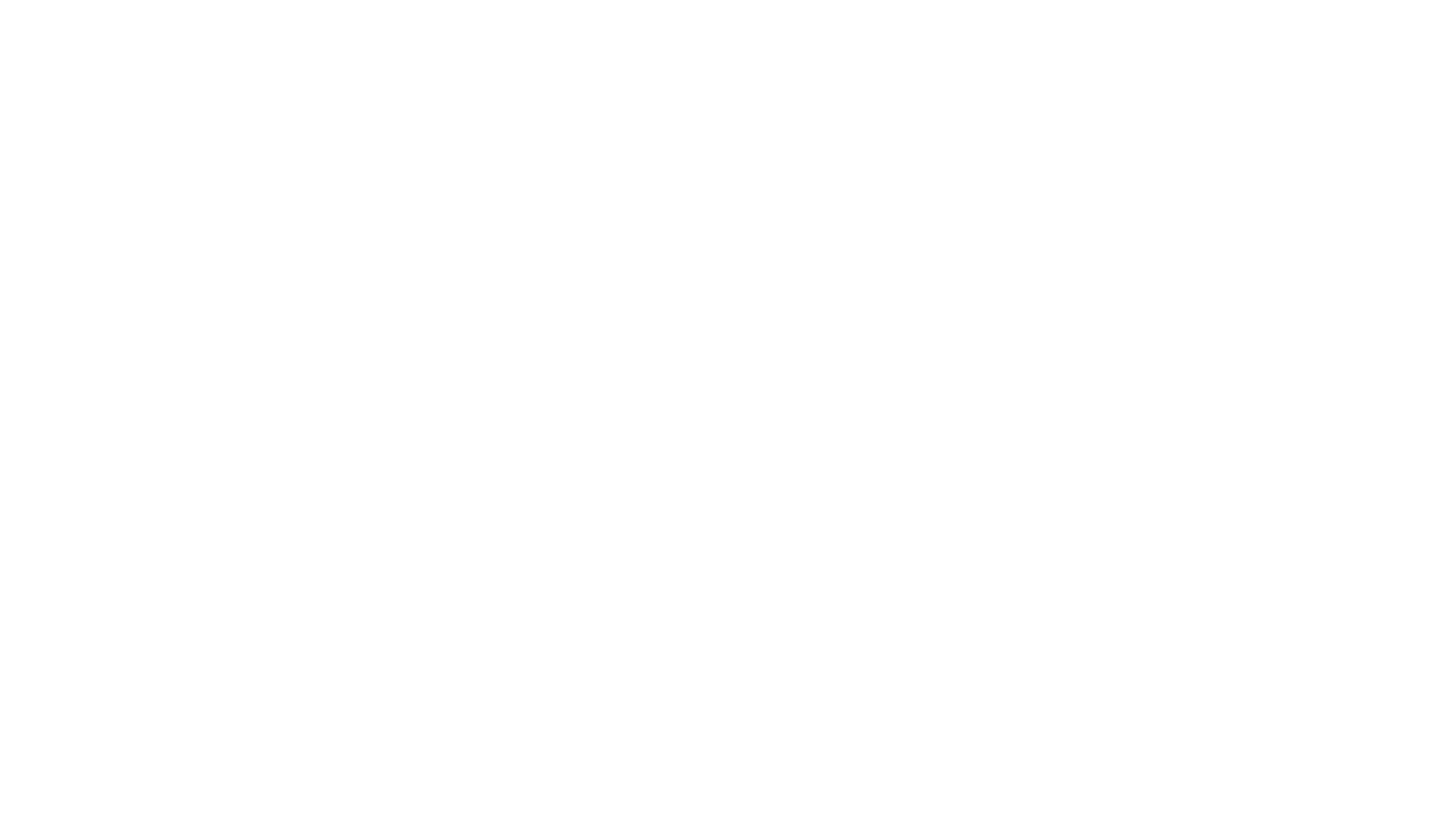 Logo White